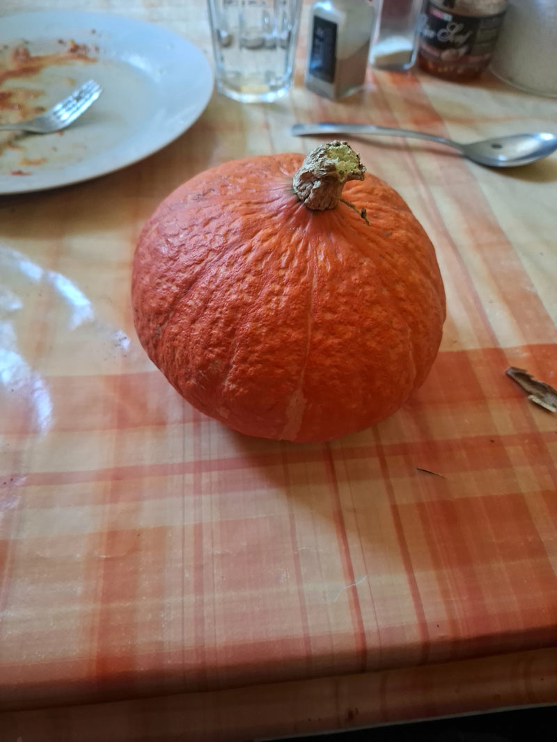 Un potiron orange vif repose sur une nappe à carreaux près de vaisselle.