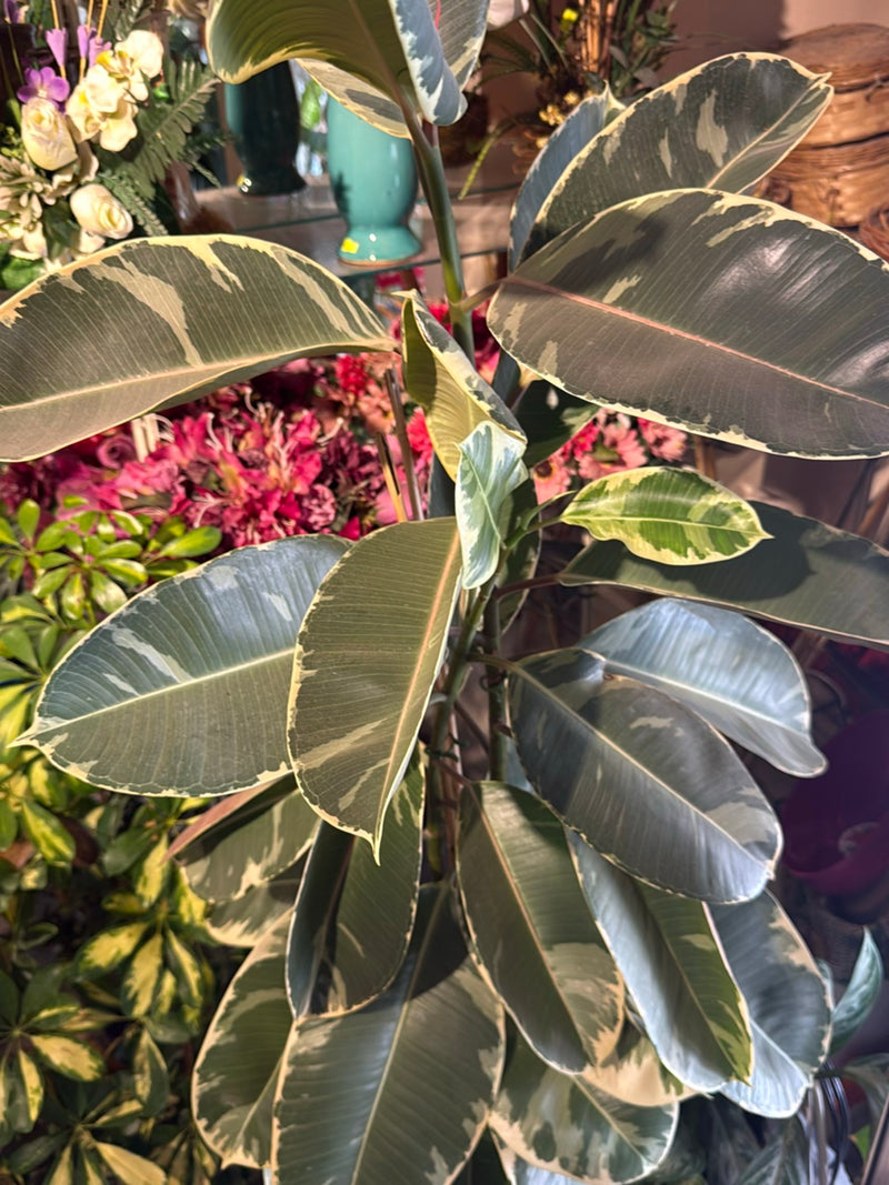 Panier marante doublé rose — Bild 1