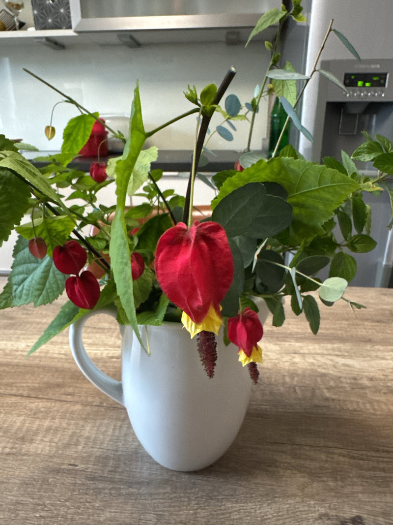 Des branches d'abutilon aux fleurs pendantes rouges et jaunes reposent dans un pichet blanc sur une table en bois.