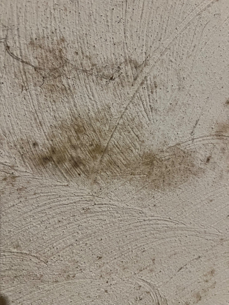 Des décolorations sombres et irrégulières dues à des moisissures sont visibles sur le mur texturé et clair. L'infestation apparaît sous forme de taches sur l...