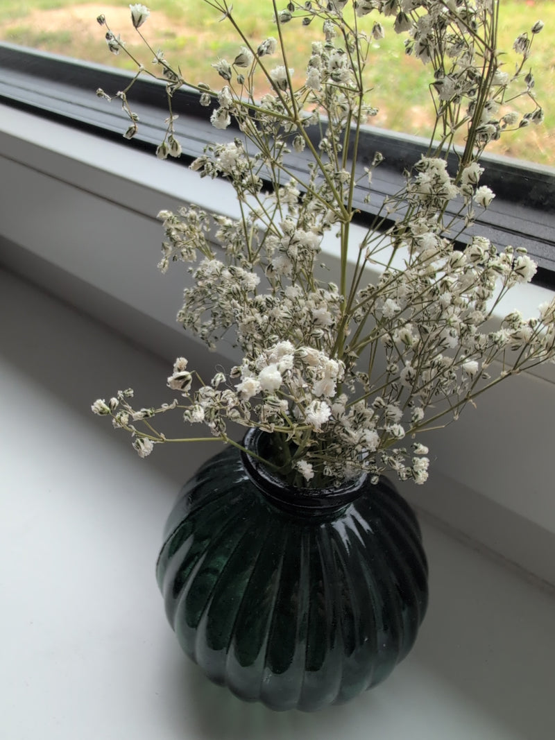 Gypsophile — Bild 1