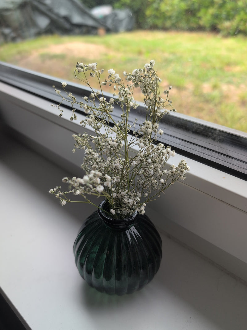 Gypsophile — Bild 4