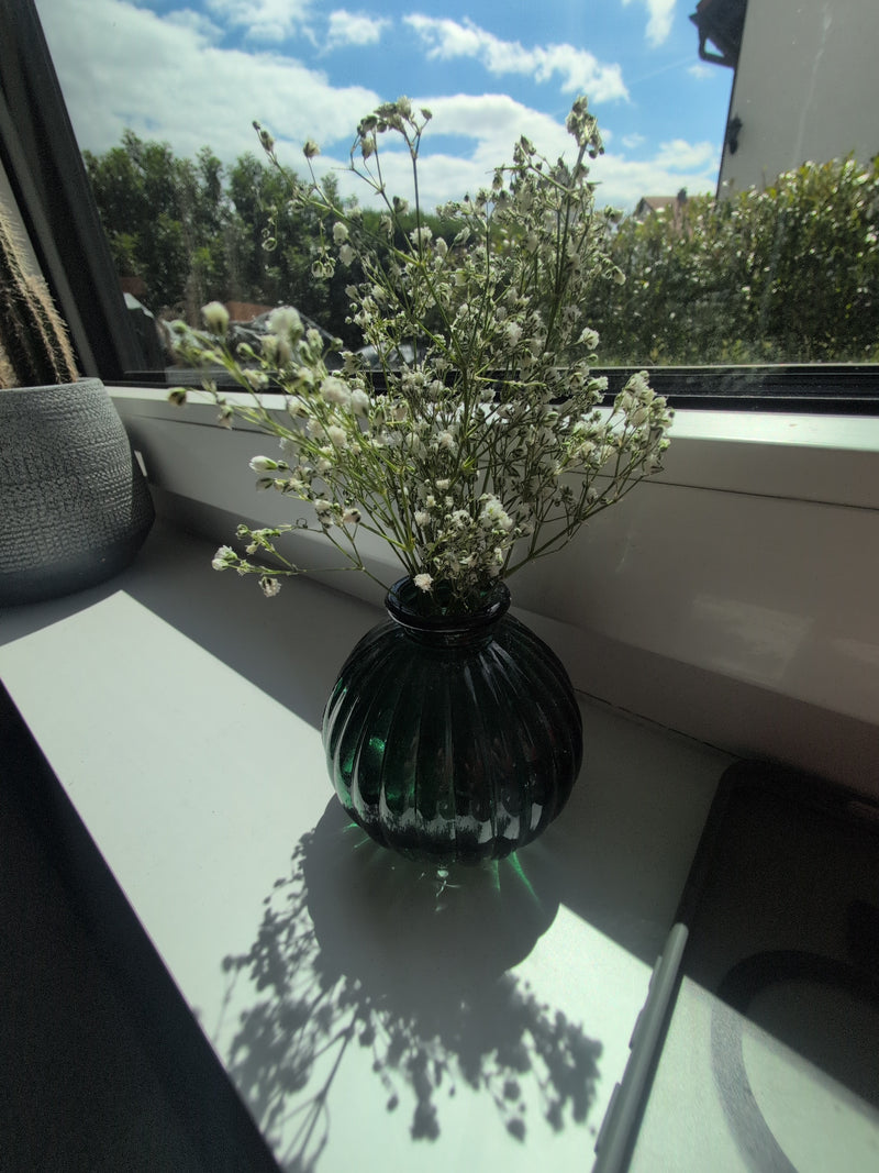Gypsophile — Bild 2
