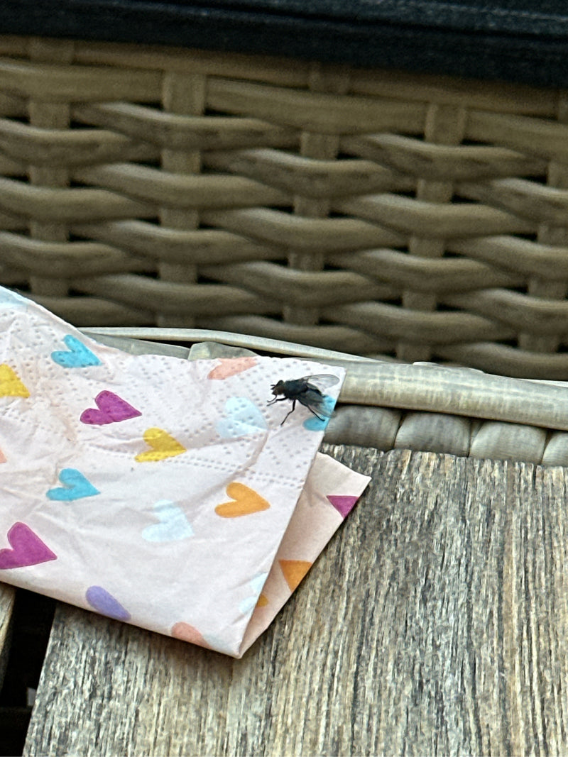 Une mouche bleue est assise sur une serviette en papier rose avec des cœurs colorés. La serviette repose sur une surface en bois.
