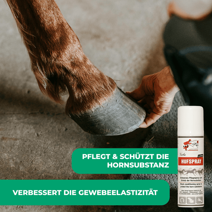 Spray sabot noir : soin et protection des sabots forts des chevaux