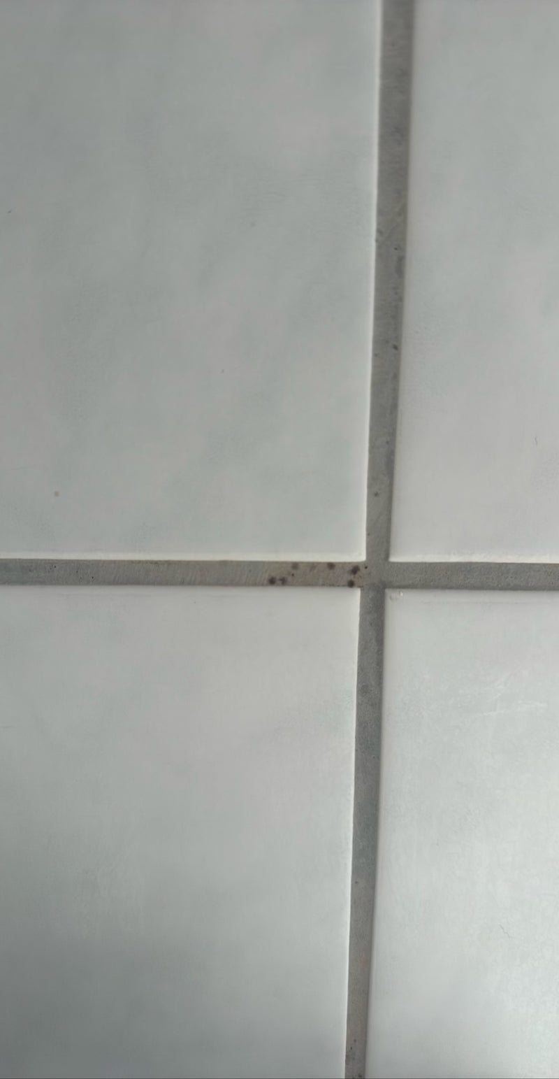 L'image montre de petites taches sombres de moisissure poussant sur les joints de carreaux muraux plus clairs.
