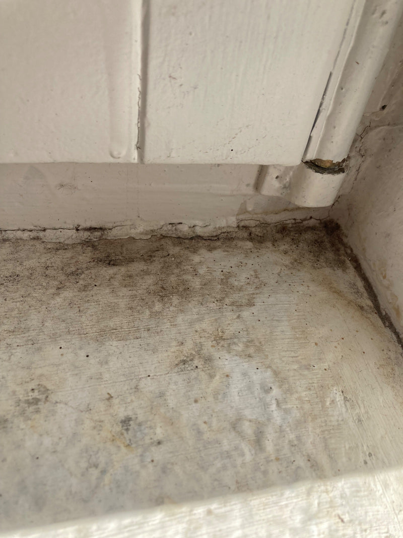 L'image montre une prolifération de moisissures sombres le long d'un bord en bois peint en blanc et d'un mur. Le champignon pousse à plat sur la surface humide.