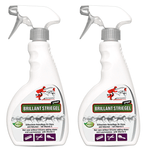 Spray queue et crinière Brilliant pour des crins de cheval brillants - Silberkraft