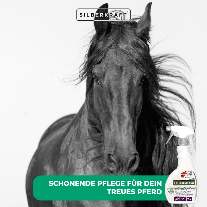 Spray queue et crinière Brilliant pour des crins de cheval brillants