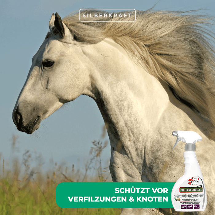 Spray queue et crinière Brilliant pour des crins de cheval brillants