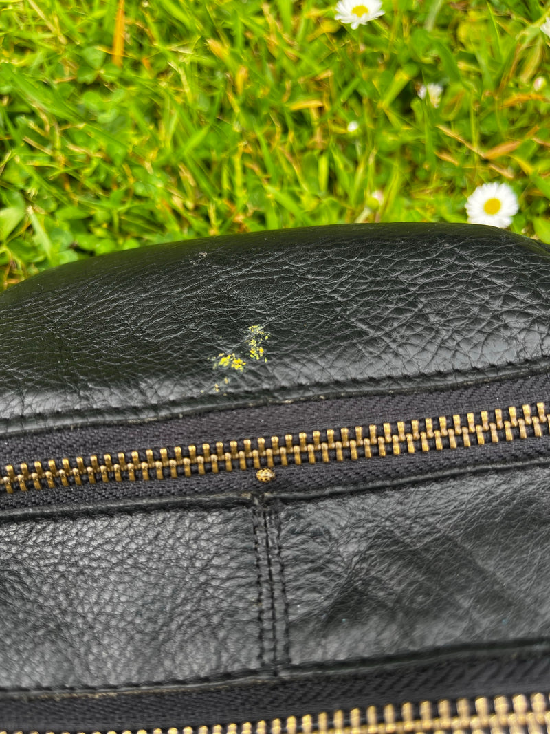 Une cochenille à seize points est assise sur la fermeture éclair d'un sac en cuir noir. Une prairie verte avec des pâquerettes est visible en arrière-plan.