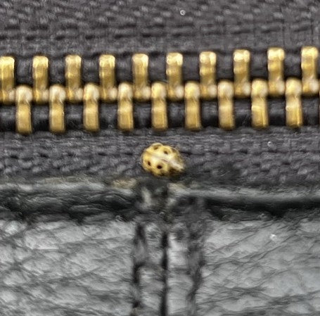 Une coccinelle à seize points est posée sur une fermeture éclair sombre. L'insecte est clairement visible en gros plan.