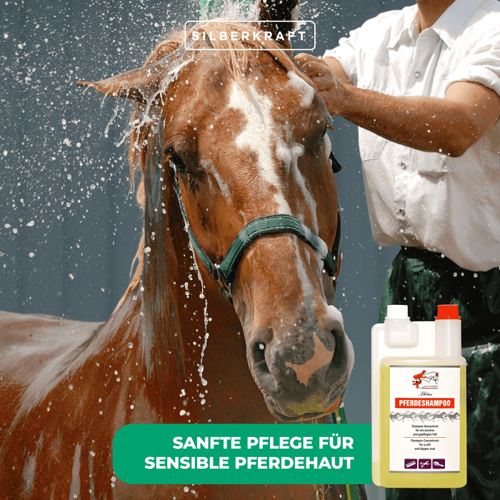 Shampoing sensible pour chevaux et poulains