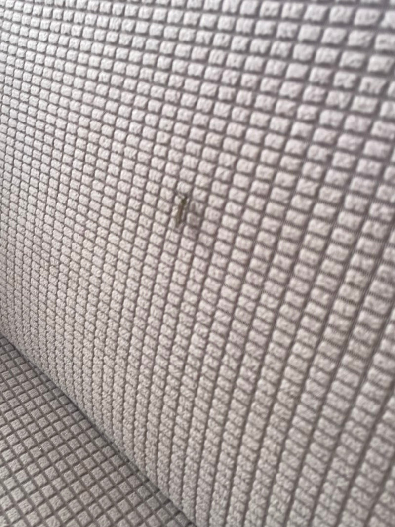Un petit lépisme argenté est assis sur une surface textile structurée. L'insecte n'est que vaguement visible en raison de la distance.
