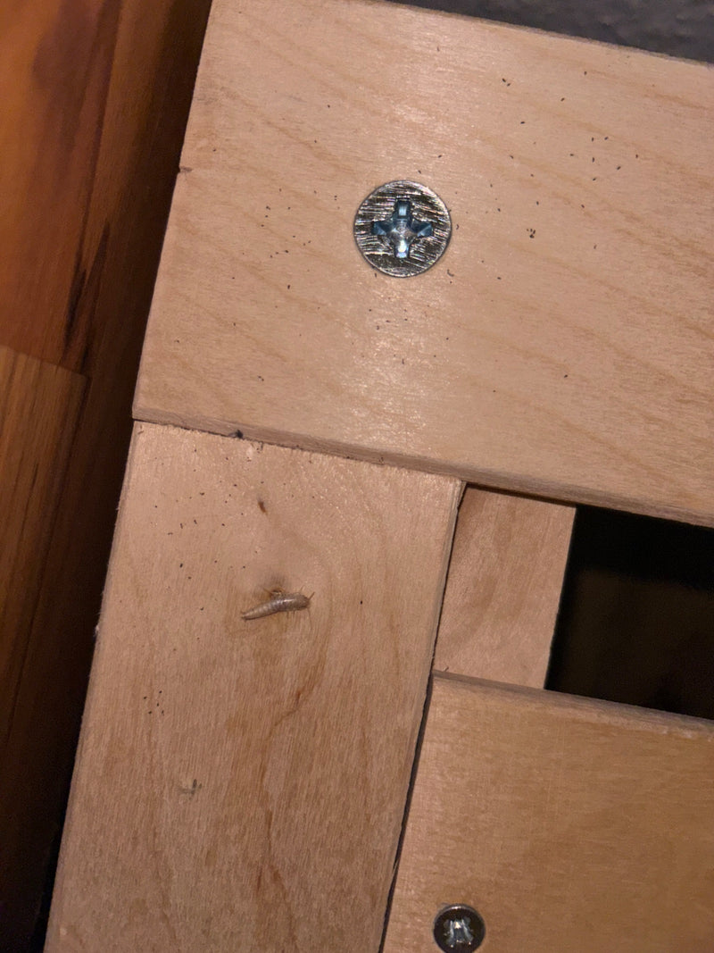 Un seul lépisme argenté repose sur une surface en bois clair. Ce petit insecte allongé se trouve près d'une vis cruciforme.