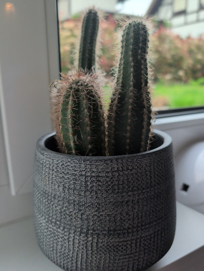 Cactus chandelier en argent — Bild 2