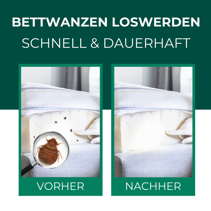 Spray anti-punaises de lit - spray anti-punaises de lit