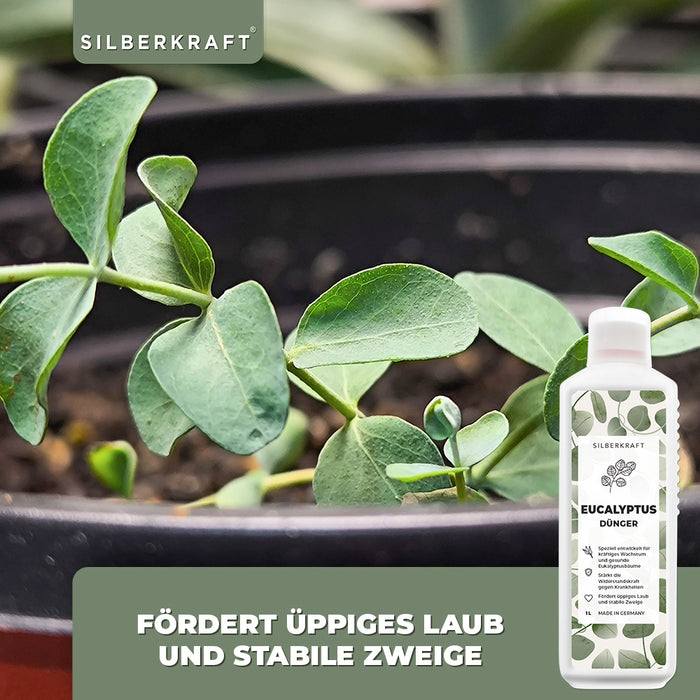 Engrais pour eucalyptus - Engrais liquide minéral NPK avec azote - Engrais pour eucalyptus - Fertilisation des eucalyptus