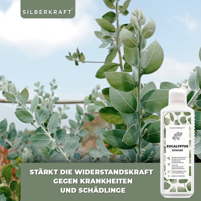 Engrais pour eucalyptus - Engrais liquide minéral NPK avec azote - Engrais pour eucalyptus - Fertilisation des eucalyptus