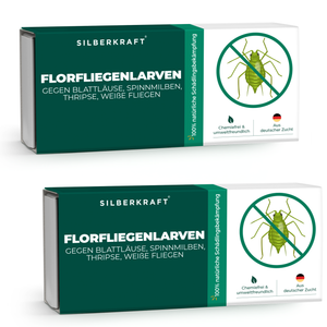 Florfliegenlarven gegen Blattläuse, Spinnmilben, Thripse, weiße Fliegen - Silberkraft