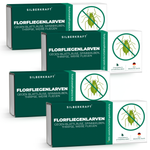 Florfliegenlarven gegen Blattläuse, Spinnmilben, Thripse, weiße Fliegen - Silberkraft