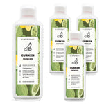 Engrais pour concombres - Engrais liquide minéral NPK avec azote - Engrais pour plantes de concombre - Engrais végétal - Silberkraft