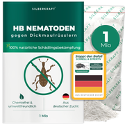 Nématodes HB pour lutter contre les charançons et les vers noirs