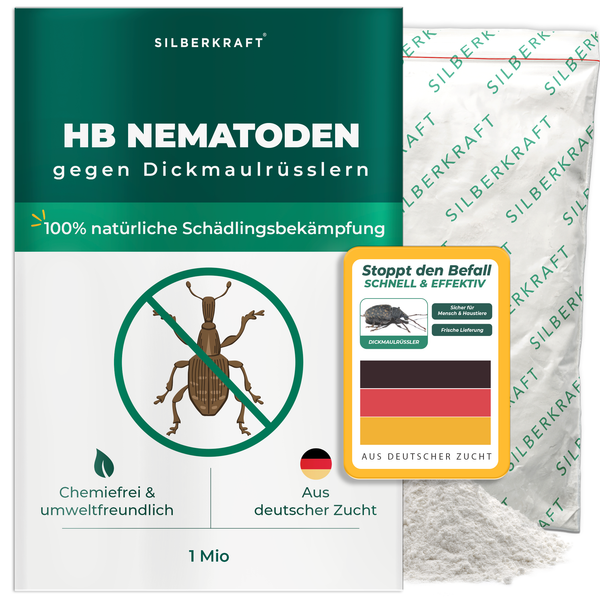 Nématodes HB contre les charançons et les vers noirs - Silberkraft