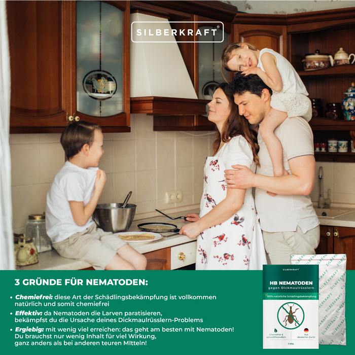 Nématodes HB pour lutter contre les charançons et les vers noirs