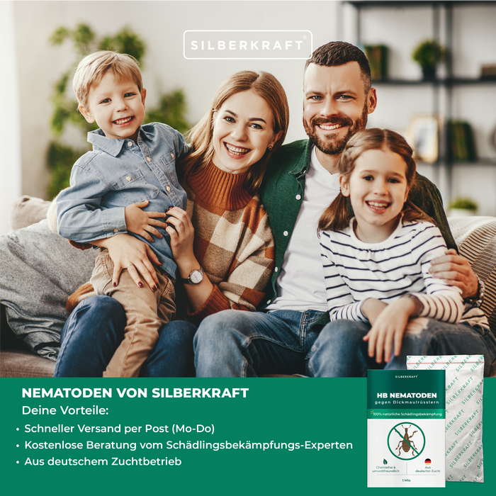 Nématodes HB pour lutter contre les charançons et les vers noirs