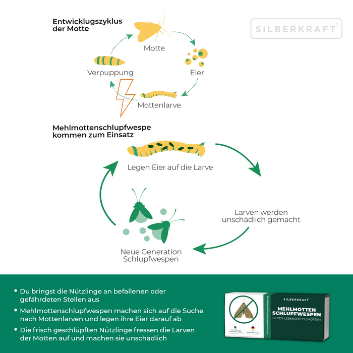 Guêpes parasites des teignes de la farine - guêpes parasites contre les teignes de la farine