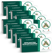 Guêpes parasites des teignes de la farine - guêpes parasites contre les teignes de la farine