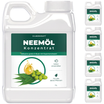 Huile de Neem avec émulsifiant - Concentré d'huile de Neem nourrissant pour vos plantes - Silberkraft