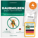 Silberkraft Raubmilben gegen Spinnmilben – 4 Tüten