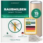 Acariens prédateurs contre les thrips - Silberkraft
