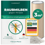 Acariens prédateurs contre les thrips - Silberkraft