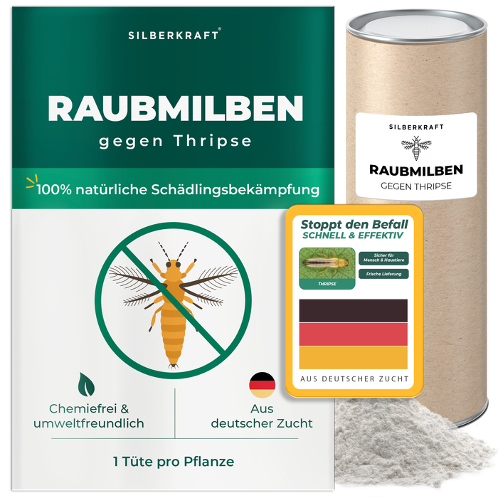 Acariens prédateurs contre les thrips - Silberkraft