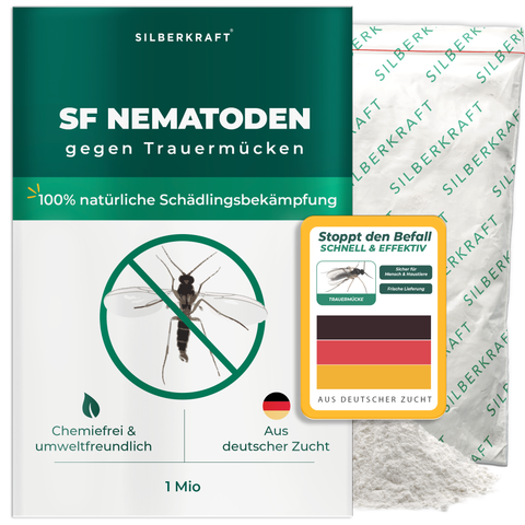 Nématodes SF pour lutter contre les moucherons fongiques des plantes d'intérieur