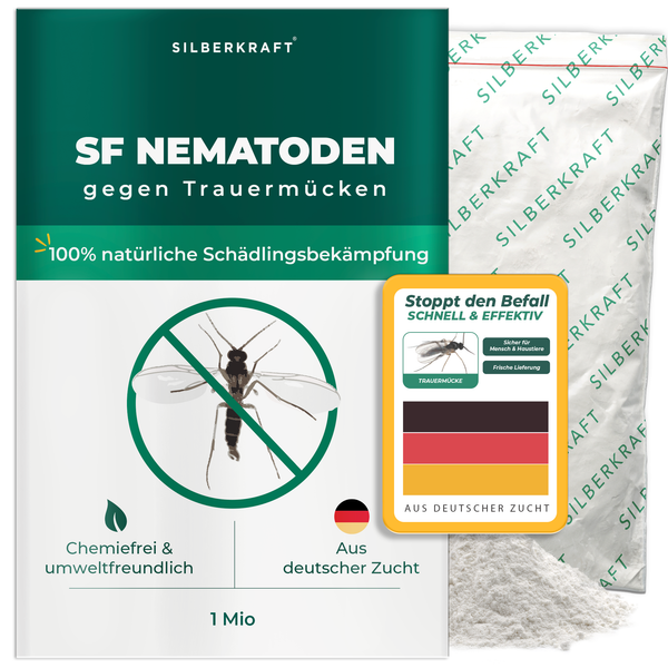 Nématodes SF pour lutter contre les moucherons fongiques des plantes d'intérieur - Silberkraft