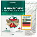 Nématodes SF contre le carpocapse des pommes
