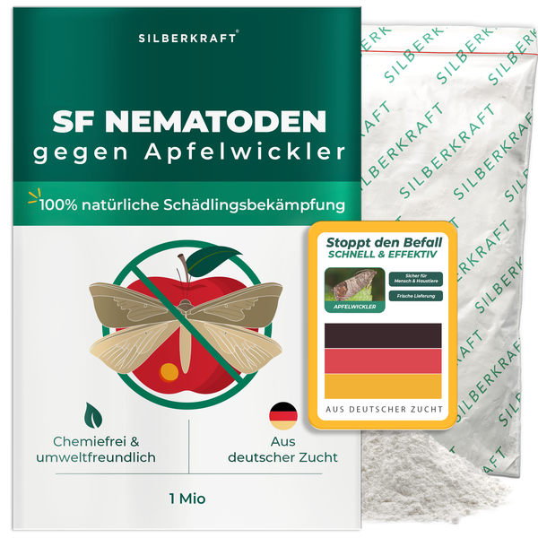 Nématodes SF contre le carpocapse de la pomme - Silberkraft