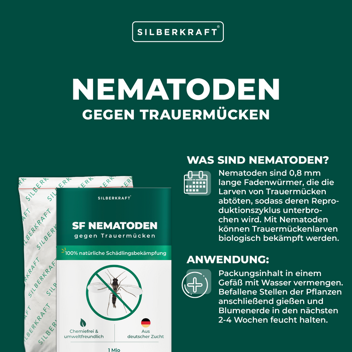 Nématodes SF pour lutter contre les moucherons fongiques des plantes d'intérieur