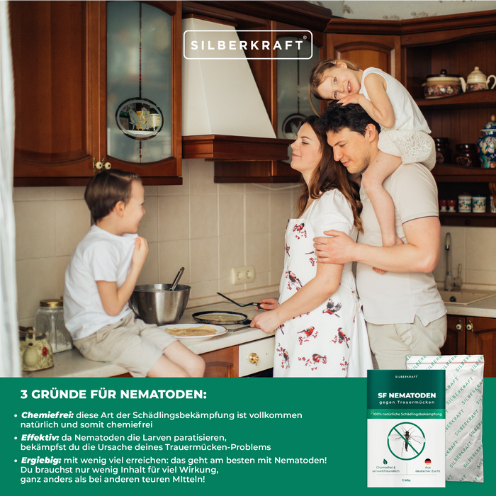 Nématodes SF pour lutter contre les moucherons fongiques des plantes d'intérieur