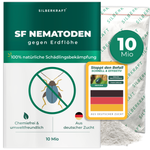 Nématodes SF contre les altises - Silberkraft