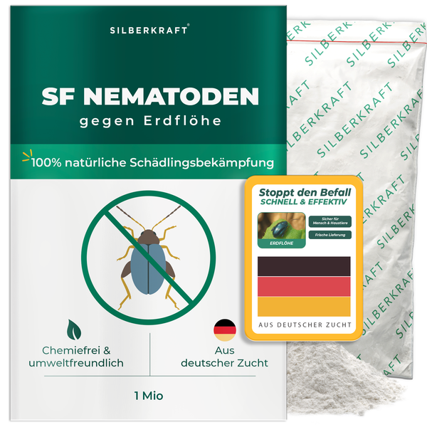 Nématodes SF contre les altises - Silberkraft