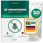 Nématodes SF contre les altises - Silberkraft
