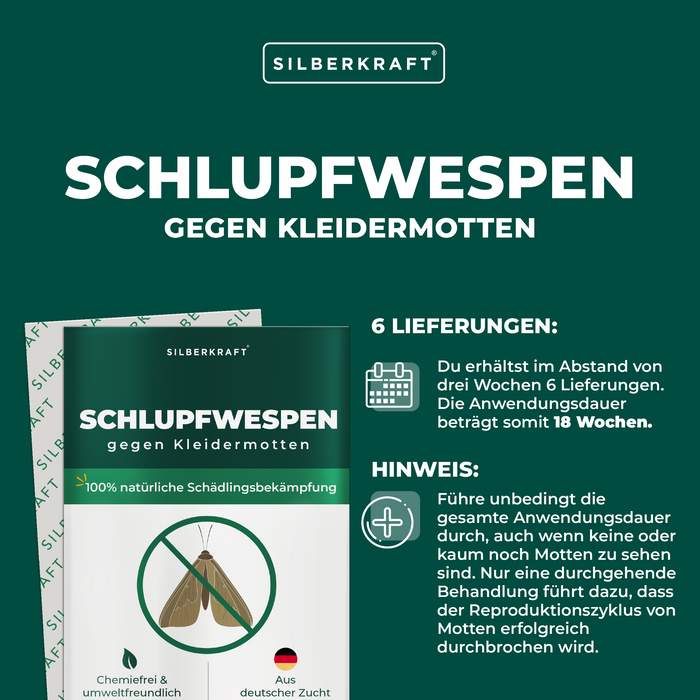 Guêpes Ichneumon contre les mites des vêtements