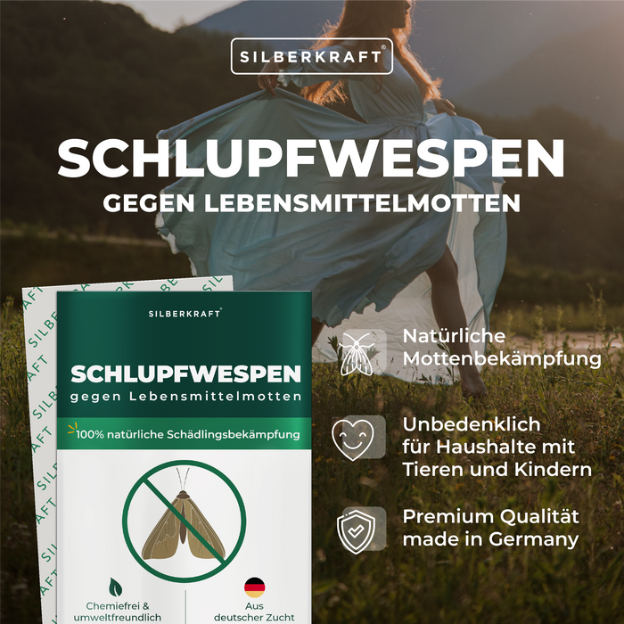 Guêpes mouches mouches contre les mites alimentaires