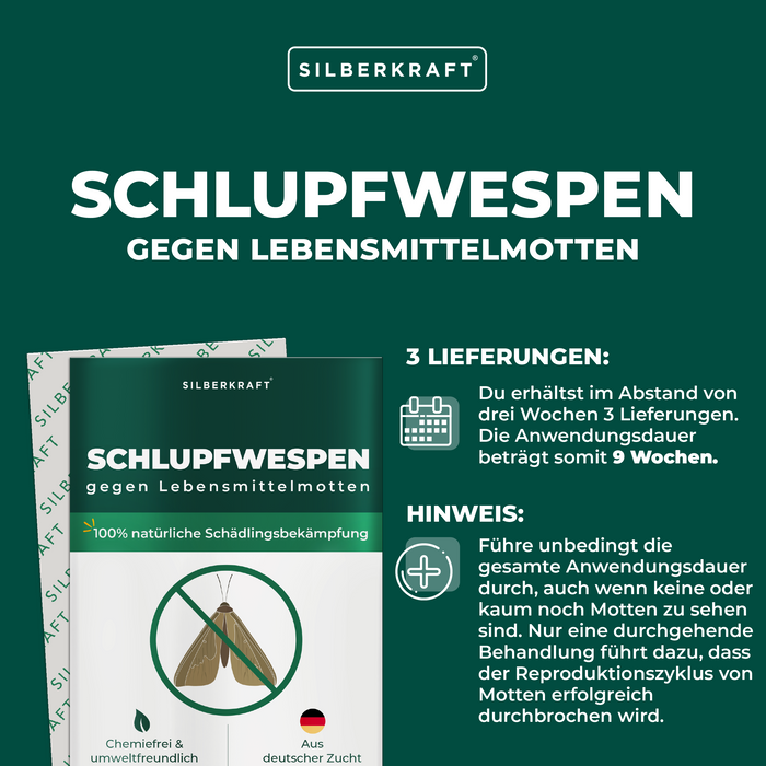 Guêpes mouches mouches contre les mites alimentaires