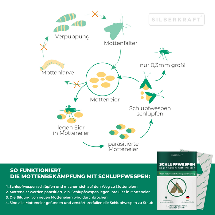 Guêpes mouches mouches contre les mites alimentaires